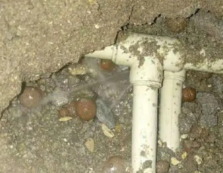 金水卫生间测漏