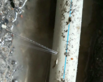 金水卫生间测漏水多少钱