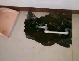 金水卫生间测漏水多少钱