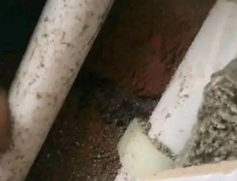 金水卫生间测漏水哪家好